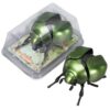1-Pack Wind-Up Beetle Toy, Movable Head & Tail Insect (Tortoise beetle)