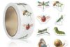 1000Pcs Insect Stickers,1 Inch Reward Stickers in 16 Patterns,Film Cartoon Decal 2 Rolls Spring Insect Animals Stickers Self Adhesive Seals Water Bottle Scrapbook Incentive Sticker for Classroom