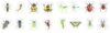 1000Pcs Insect Stickers,1 Inch Reward Stickers in 32 Patterns,Film Cartoon Decal 4 Rolls Spring Insect Animals Stickers Self Adhesive Seals Water Bottle Scrapbook Incentive Sticker for Classroom