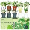 10 Indoor Herb Garden Kit, 33pcs Complete Kitchen Herb Starter Set Including 4-Color Pots, Soil & Tools, Unique Gift Ideas for Plant Lovers, Women, Men, Mom, Friend, Birthday, Housewarming, Christmas