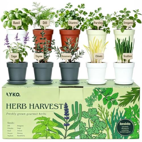 10 Indoor Herb Garden Kit, 33pcs Complete Kitchen Herb Starter Set Including 4-Color Pots, Soil & Tools, Unique Gift Ideas for Plant Lovers, Women, Men, Mom, Friend, Birthday, Housewarming, Christmas