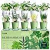 10 Indoor Herb Garden Kit, 54pcs Complete Kitchen Herb Starter Set Including 2-Color Self Watering Pots, Soil & Tools, Unique Gift Ideas for Plant Lovers, Women, Men, Friend, Birthday, Housewarming