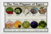 10 Plagues of Egypt Poster Canvas Wall Art for Room Aesthetic and Decor Bedroom Living Bathroom Kitchen Office 12x16 inch