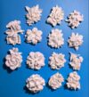 14 Pcs Plaster Painting Kit, Flower Magnet Craft Kit for Adults & Teens