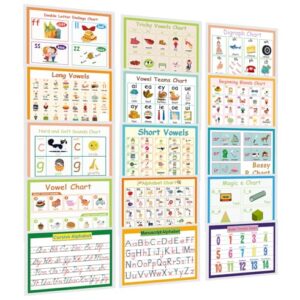 15 Phonics Posters for Classroom,Laminating-A4, Digraphs Blends Syllable Types,Vowel Valley Sounds,Alphabet Bulletin Board Reading Posters for Kindergarten,Elementary,Homeschool Supplies,ESL
