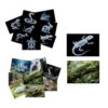 16 Animal X-Ray Set, Educational Science Kit for Kids to Explore Bone Structures for Lightstand Accessories, Light and Shadow Areas (Pets Series)