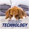 1 Pack R'esolves Pet Expert High Traffic Carpet Cleaner Foam,22oz, 3X Pet Hair and Dirt Removal,