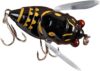 1pc Black Cicada Fishing Catcher - Freshwater Attractant Lures,Fish Tackle Realistic Cicada Shaped Fake Catching Lures,Supplies Strong Hook Reusable Swim Baits for Lake Pond,Topwater Lure