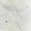 1 Piece Entamoeba histolytica Cyst W.M Prepared Microscope Slides