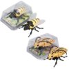 2-Pack Wind-Up Beetle Toy, Movable Head & Tail Bug(Bees+longhorn beetles)