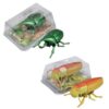 2-Pack Wind-Up Beetle Toy, Movable Head & Tail Insect (Beetle+Locust)