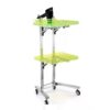 2-Tier Rolling Utility Cart, Stainless Steel Storage Trolley with Wheels, Handle and Lockable Casters for Kitchen, Office, Workshop and Bathroom