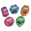 2025 VBS (Vacation Bible School) Faith Tag Value Pack. Trust North for Direction: 250 Brag Tags (50 Tags per Design)