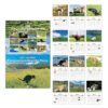 2027 Dogs Pooping in Beautiful Places Wall & Desk Calendar, 12 Month Funny Humor Dog Pooping Monthly Planner, Premium Thick No Bleed Paper Spiral Bound Novelty Gag Gift for Birthdays Christmas Dog Lovers