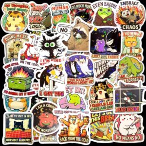 210 PCS Holographic Funny Stickers for Adults, Sarcastic Memes Humor Pack