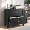 2 Drawer File Cabinet with Lock, Wide Metal Cabinet for Home Office