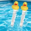 2 Sticks Duck Pool Thermometer with String, Floating Pool Temperature