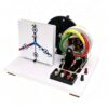 3-Phase Ac & Dc Generator Demonstration Model, Hand Crank Electric Generator Physics Experiment Kit, with Y-Connection Load Board, for DIY Electricity Learning