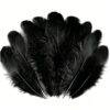 300pcs Black Rooster Feathers 3-5-inch Bulk Feathers for Crafting Kindergarten DIY Crafts, Wedding, Family Party Decorations, Dream Catcher Supplies, Natural Feathers