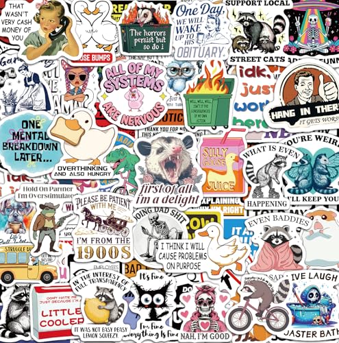 300 Pcs Funny Stickers for Adults, Water Bottle Vinyl Meme Laptop Waterproof Cute Sticker Pack, Scrapbook Planner Journal Stickers Supplies Gifts for Men Women Hard Hat Bumper