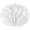 300pcs White Rooster Feathers 3-5-inch Bulk Feathers for Crafting Kindergarten DIY Crafts, Wedding, Family Party Decorations, Dream Catcher Supplies, Natural Feathers