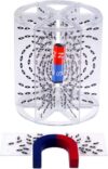 3D Magnetic Field Demonstrator, Electromagnetic Current Physics Experiment Equipment, Teaching Instrument for Science Lab Education