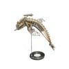 3D Metal Puzzle for Adults Mechanical Dolphin Punk Assembly Kit 700+ PCS