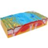 3D Plate Tectonics and Geographic Morphology Model
