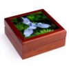 3dRose USA, California. Douglas Iris, Iris douglasiana, Redwood National Park Jewelry Box 7 x 7 inch with 4 inch tile
