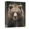 3 Ring Binder Bear View Binder School Office