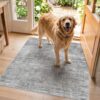 3 Square Area Rug for Entryway - Washable Neutral Throw Rugs Abstract Low-Pile Indoor Carpet with Non Slip Backing Waterproof Thin Rugs for Housewife in Kitchen Bedroom Bathroom (Gray)