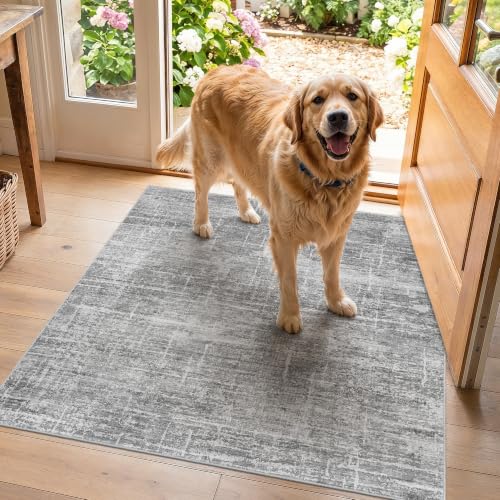 3 Square Area Rug for Entryway - Washable Neutral Throw Rugs Abstract Low-Pile Indoor Carpet with Non Slip Backing Waterproof Thin Rugs for Housewife in Kitchen Bedroom Bathroom (Gray)