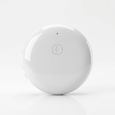 VIVEZIN Smart Wearable Translator