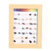 42 Mineral Sets, Rock Collection Sets, Children's Mineral and Crystal Sample Boxes, Suitable for Children and Collectors Gift Sets