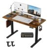 48"×24" Electric Height Adjustable Desk, Sit to Stand Up Computer Desk