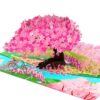 4BO Pop Up Valentines Day Cards, Cherry Blossom 3D Flower, Birthday Cards Pop Up for Women, Wife, Mom, Grandma, Cherry Tree, Bicycle Love, Anniversary Pop Up Card