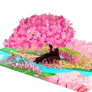 4BO Pop Up Valentines Day Cards, Cherry Blossom 3D Flower, Birthday Cards Pop Up for Women, Wife, Mom, Grandma, Cherry Tree, Bicycle Love, Anniversary Pop Up Card