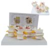 4 Stage Lumbar Vertebrae Model for Anatomy Teaching & Patient Education, Human Spine Anatomy Disease Model with English Back Card, Bone Degeneration & Advanced Osteoporosis Demonstration