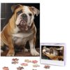 500 Piece Puzzles for Adults Personalized Wooden Puzzles English-Bulldog Jigsaw Puzzles Gift Custom Puzzle from Photos Challenging Puzzles for Family Wedding Christmas Birthday Gifts 20.4 x 15 in