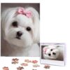 500 Piece Puzzles for Adults Personalized Wooden Puzzles Lovely Maltese Dog Jigsaw Puzzles Gift Custom Puzzle from Photos Challenging Puzzles for Family Wedding Christmas Birthday Gifts 20.4 x 15 in