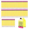 50 Pencil Sticks with Wooden Holder – Back to School Set