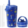 BUZIO 14 Oz Water Bottle with Straw Lid