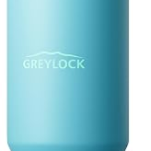 Greylock 30 oz Insulated Tumbler with Top Handle, 2-in-1 Flip Straw & Spout Lid