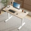 55 Inch Large Electric Height Adjustable Standing Desk, Sit to Stand，Oak