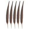 5 Pcs Pheasant Feathers, 15.7-17.7 in, 40-45 cm, Natural Male Ringneck Tail Feathers for DIY Projects, Decoration, Dance, Cat Playthings