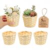 5 Pcs Small Basket Mini Woven Bamboo Baskets for Favors 3" Tiny Wicker Basket for Crafts Round Miniature Storage for Wedding Party Table Centerpieces Office Organizer 2.95x2.95x2.36 Inches