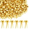 600 Pcs Gold Paper Fasteners, 0.69 * 0.32 Inches Brass Brad Fasteners, Metal Round Head Brads for Paper Crafts, School Homemade Crafts,DIY Artworks