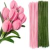 600 Pcs Pipe Cleaners Craft Supplies 2 Assortment Pastel Color Chenille Stems for Art and Craft Project Creative DIY Decoration