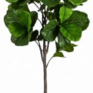 LUCEALBERI 6FT Artificial Fiddle Fig Tree