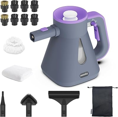 AWASKY 10S Fast Heating Handheld Steam Cleaner